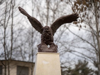 Autoevaluarea Statului Major al Forțelor Aeriene pe anul 2019 Foto:Turoi Laurentiu