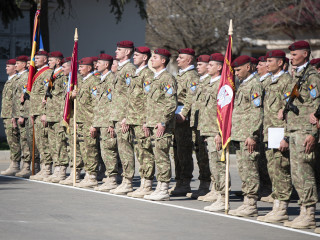 Ceremonie de repatriere din Afganistan a „Vulturilor Negri” Foto:Laurențiu Turoi