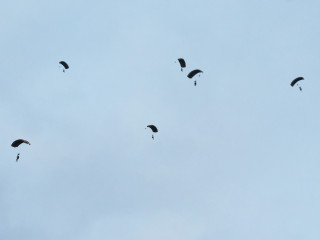 Ziua Distinșilor Vizitatori a exercițiului JUNCTION STRIKE 2021 Foto:Alexandru BADEA