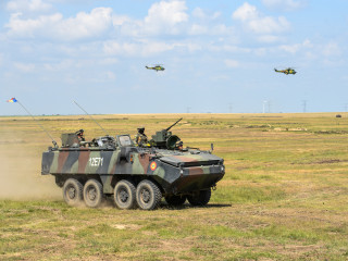 Ziua Distinșilor Vizitatori la exercițiul Dacian Strike 23 Foto:Alexandru Badea