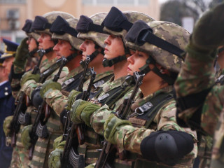 Ziua Armatei României, la Carei Foto:Emil Moritz