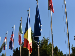 Cremonie dedicată Zilei NATO la sediul MApN Foto:Costel Pătrașcu