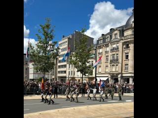 șeful Apărării, la Ziua Națională a Marelui Ducat al Luxemburgului Foto: