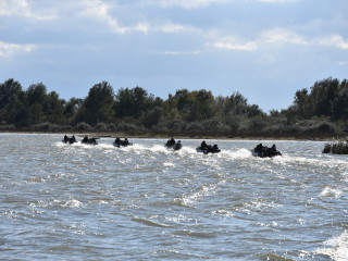 Exercițiul „Danube Protector” 24 Foto:Costel Pătrașcu
