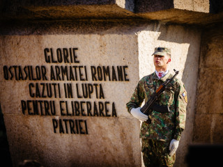 Ziua Armatei României, la Carei Foto:Liviu Burtică