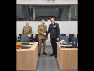 Șeful Statului Major al Apărării, la prima Reuniune din 2025 a Comitetului Militar al NATO Foto:
