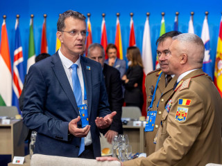 Șeful Statului Major al Apărării, la Summit-ul NATO de la Haga Foto: