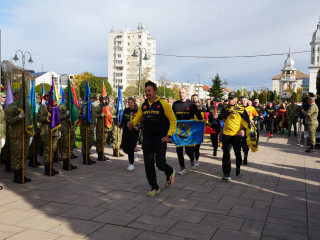 Ziua Armatei României, la Carei și Satu Mare  Foto:Divizia 4 Infanterie 
