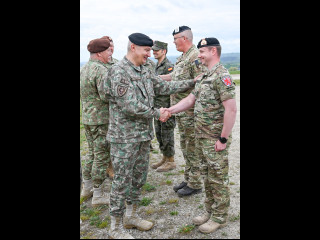 Întâlnire a conducerii MApN cu președintele Comitetului Militar al NATO Foto:Alexandru Badea