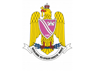 BATALIONUL 185 SPRIJIN LOGISTIC MURES <br/> Foto: 