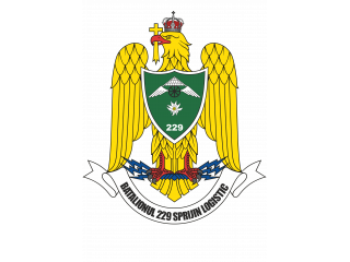 BATALIONUL 229 SPRIJIN LOGISTIC <br/> Foto: 